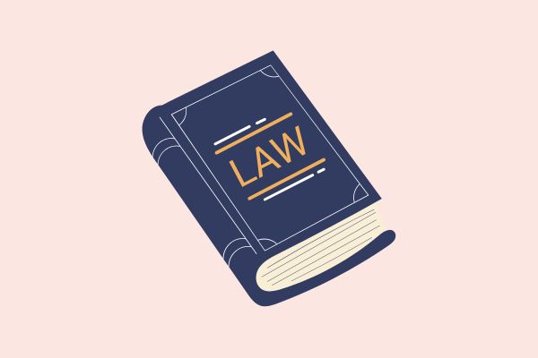 Criminal Law for Law Entrances